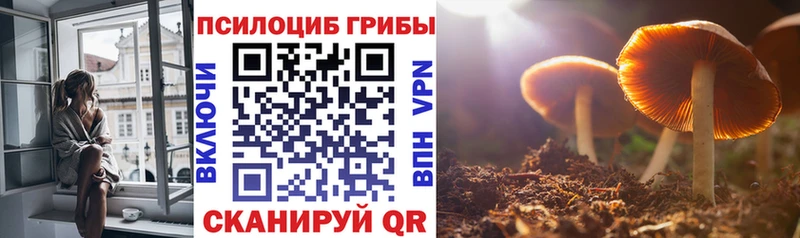 Галлюциногенные грибы MAGIC MUSHROOMS  МЕГА сайт  Чернушка  цены  
