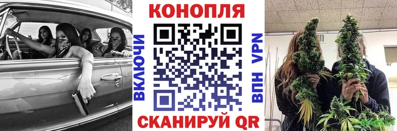 Бошки Шишки Amnesia даркнет телеграм Чернушка